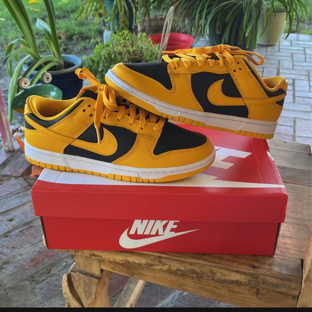 Nike Dunk Low Retro